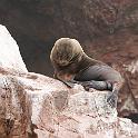 Peru 0093